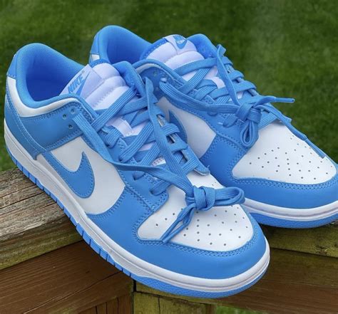 Mens Nike Dunk Low Top Shoes